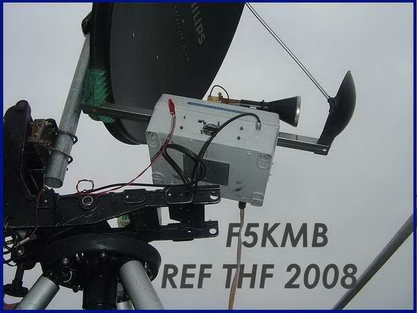 THF_2008_editorial.jpg